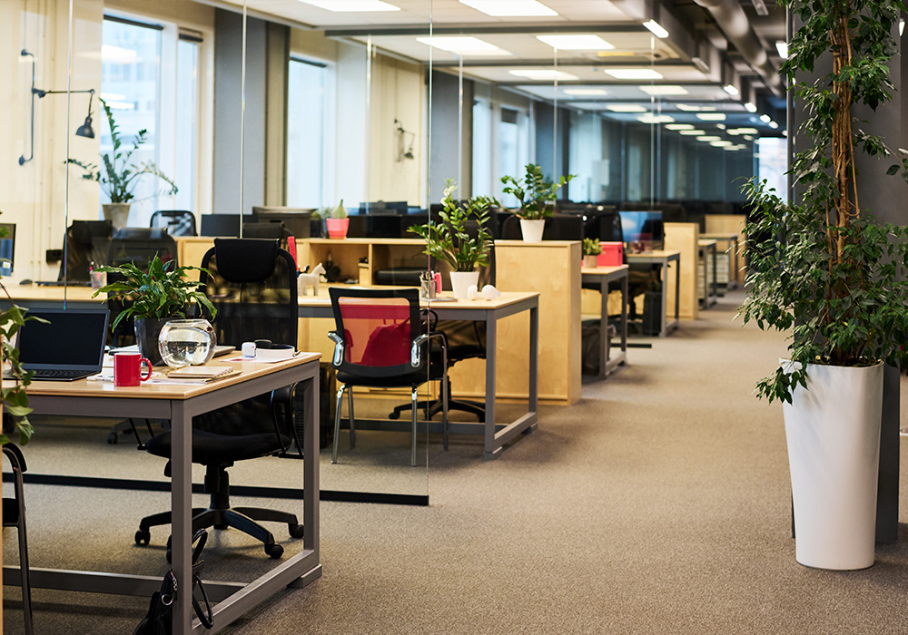 Equipo de reformas de oficinas trabajando en Valencia